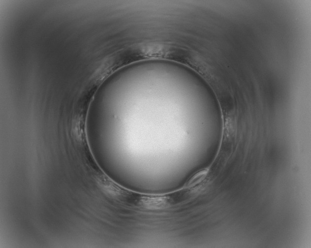 X0000062670671200512281740