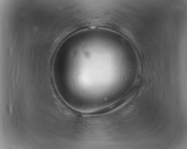 X0000062670673200512281740