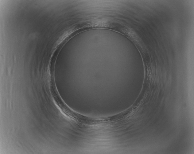 X0000062670674200512281740