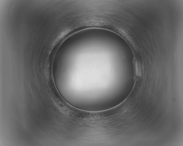 X0000062670675200512281740