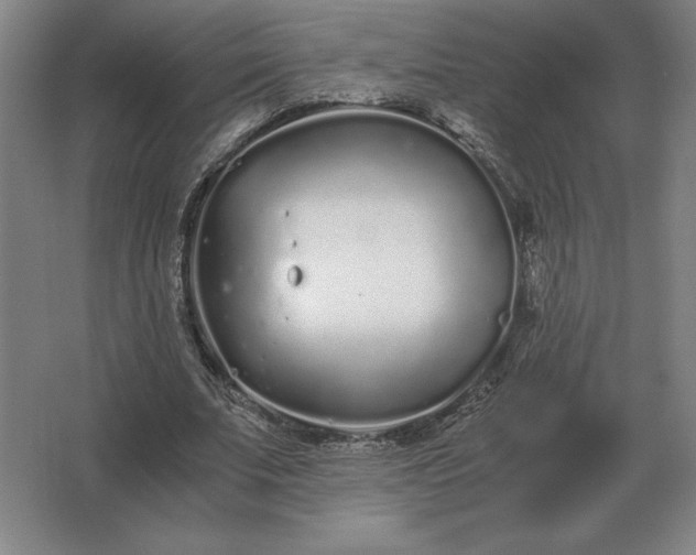 X0000062670679200512281739