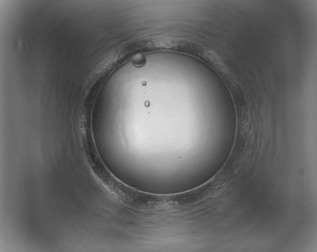 X0000062670683200512281739