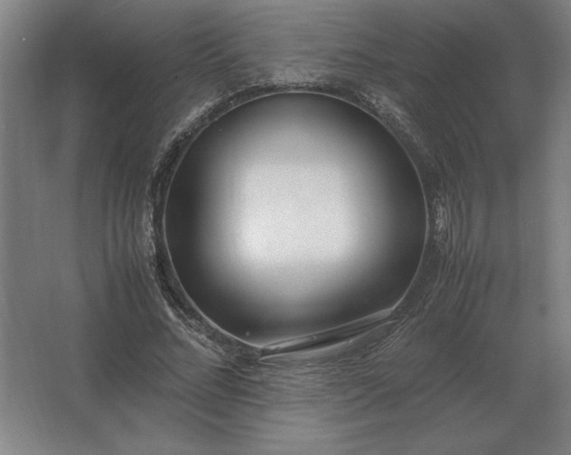 X0000062670684200512281739