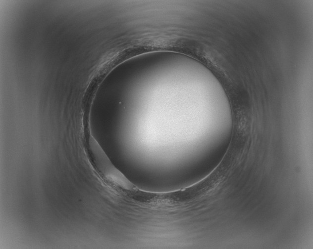 X0000062670685200512281739