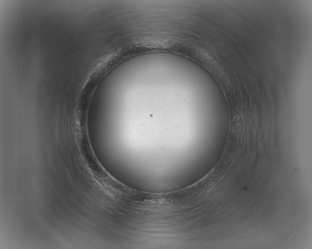 X0000062670688200512281739