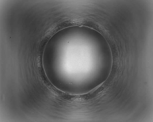 X0000062670689200512281739