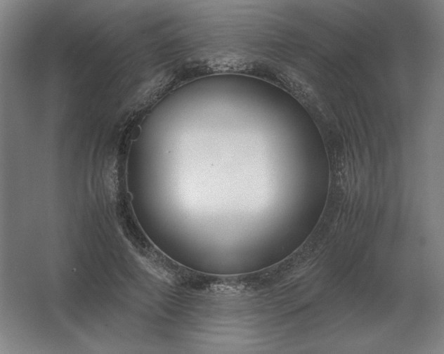 X0000062670690200512281739