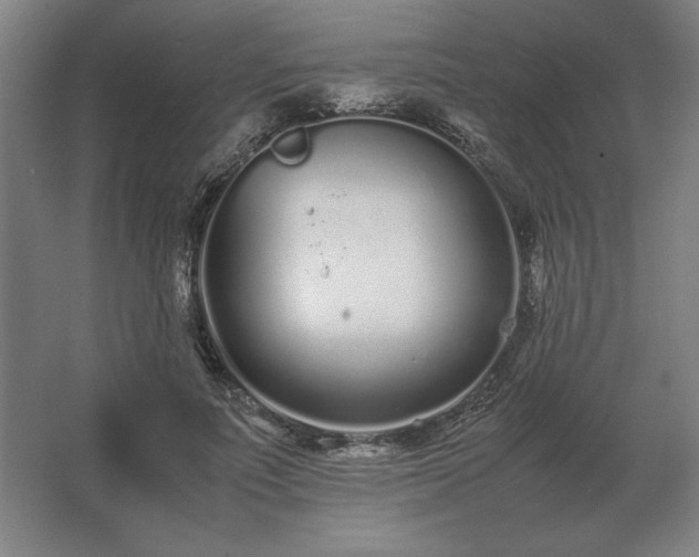 X0000062670691200512281739