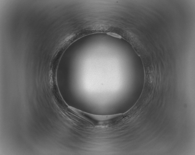 X0000062670692200512281739