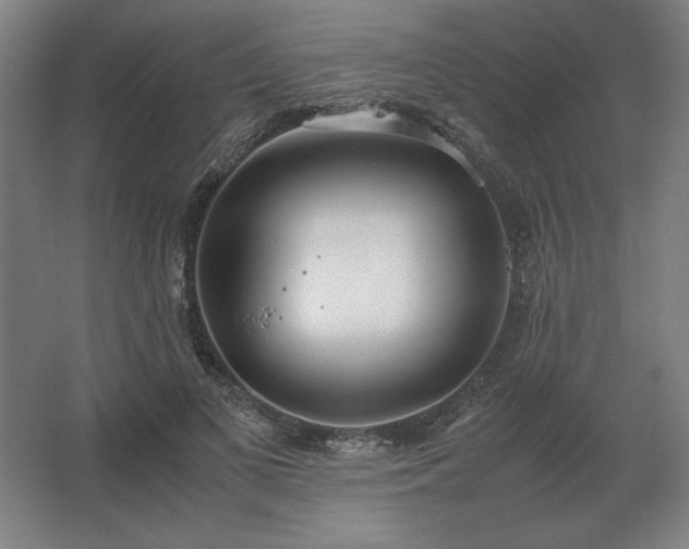 X0000062670693200512281739