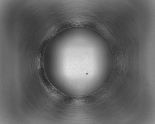 X0000062670694200512281739