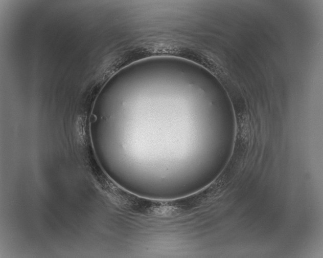 X0000062670695200512281739