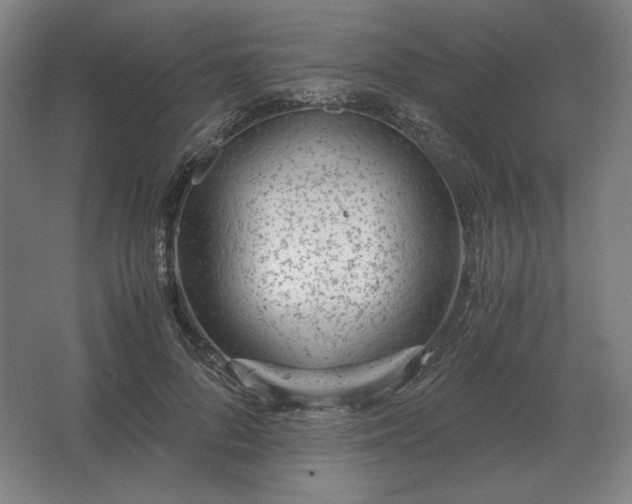 X0000062670696200512281739