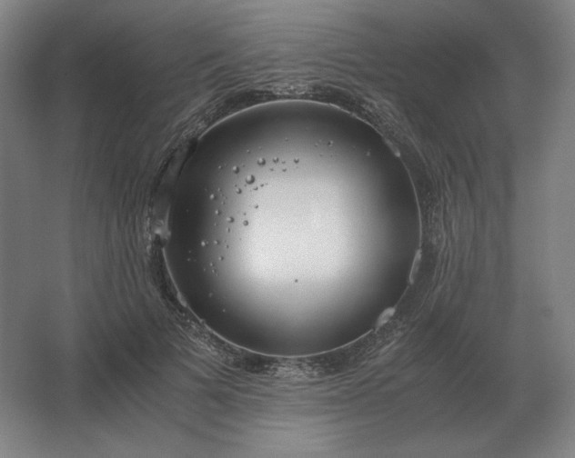 X0000062670697200512281739