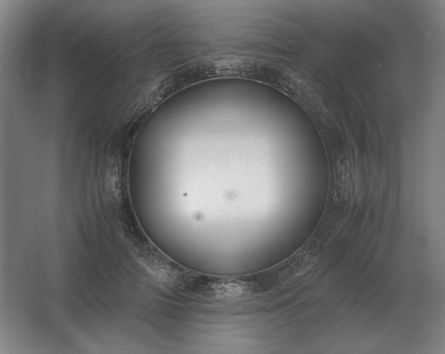 X0000062670698200512281739