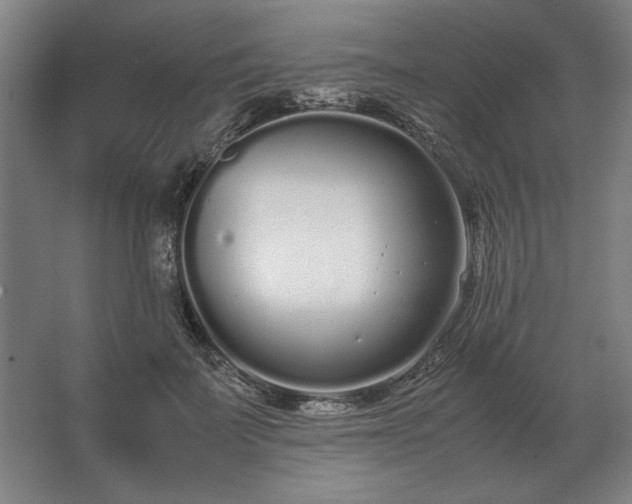 X0000062670699200512281739