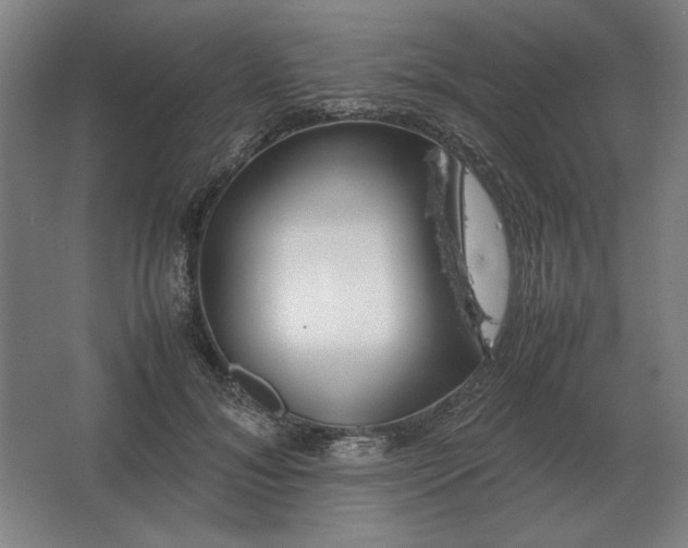 X0000062670700200512281739