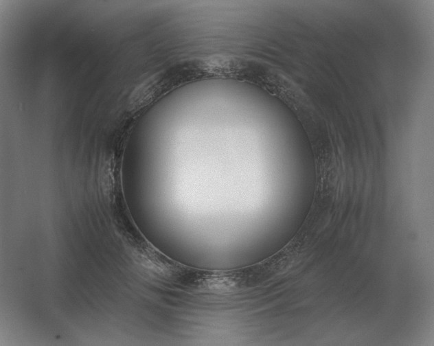 X0000062670702200512281739