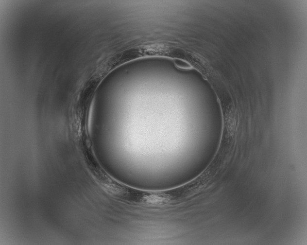 X0000062670703200512281739