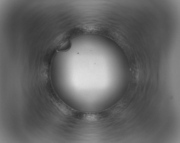 X0000062670710200512281739