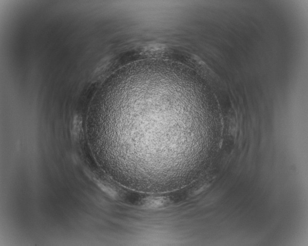 X0000062670711200512281739