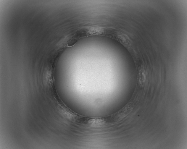 X0000062670714200512281739