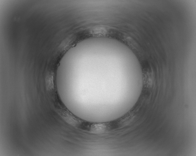 X0000062670717200512281739