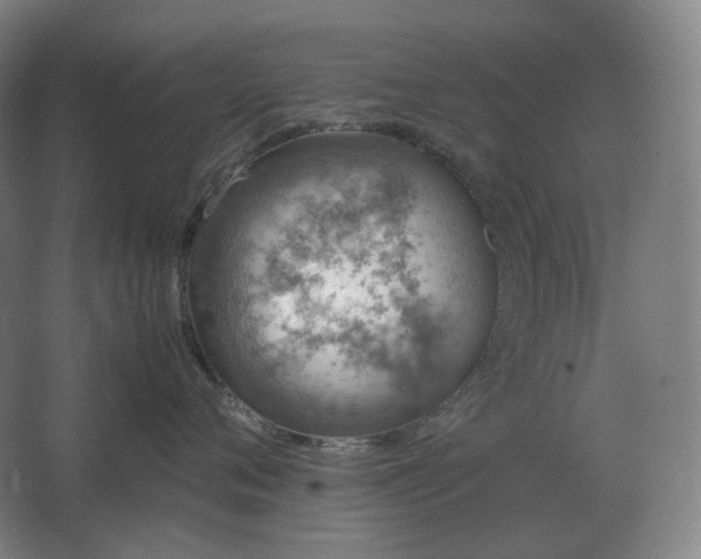 X0000062670720200512281739