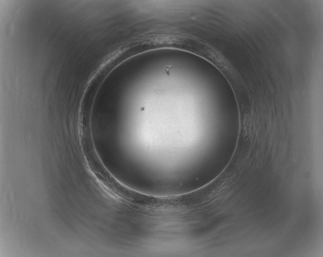 X0000062670722200512281738