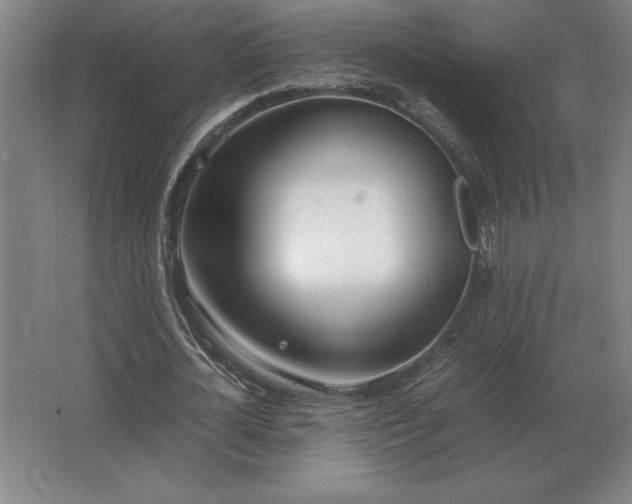 X0000062670724200512281738