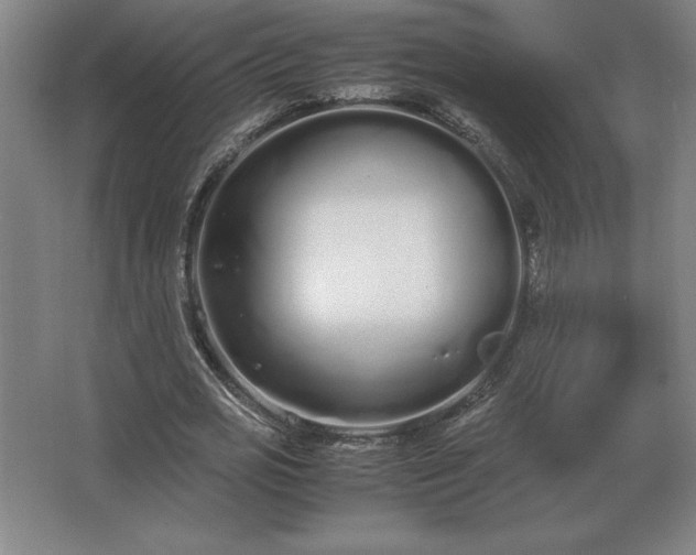 X0000062670725200512281738