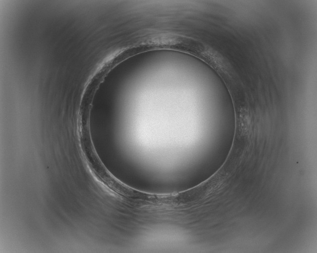 X0000062670726200512281738