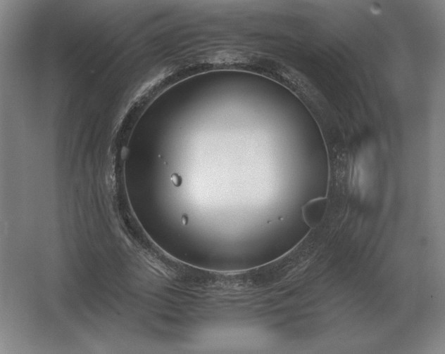 X0000062670727200512281738