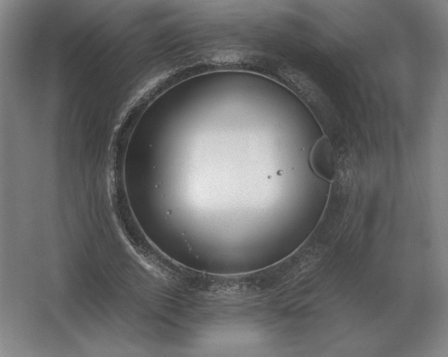 X0000062670728200512281738