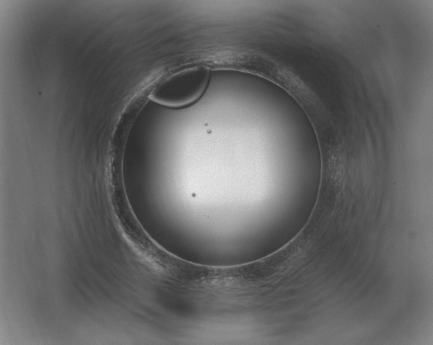 X0000062670730200512281738