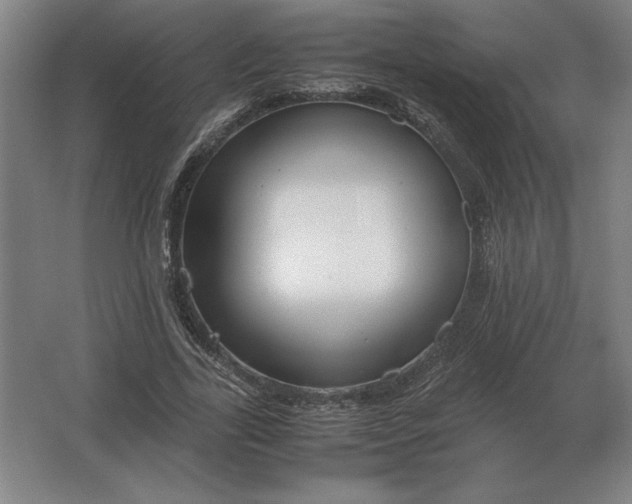 X0000062670731200512281738