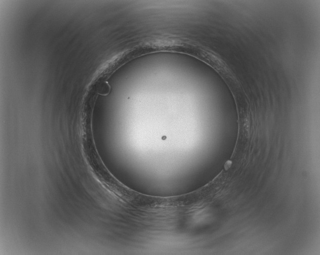 X0000062670732200512281738