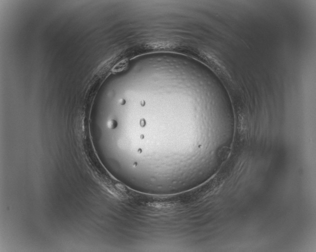 X0000062670733200512281738