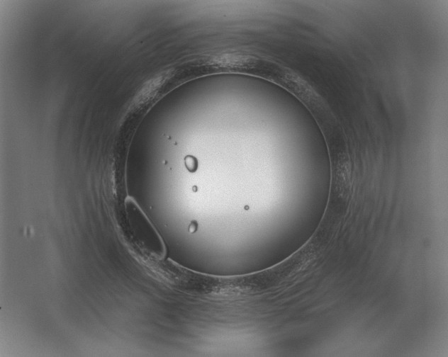 X0000062670734200512281738