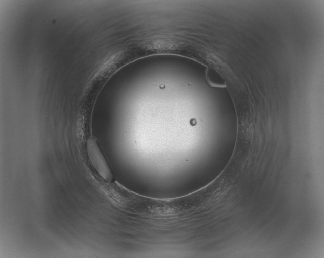 X0000062670735200512281738