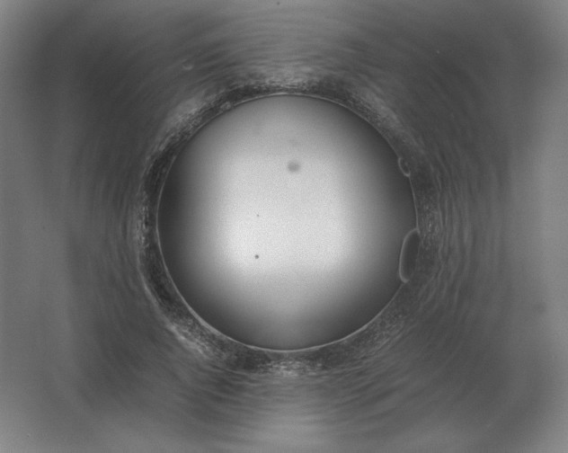 X0000062670736200512281738