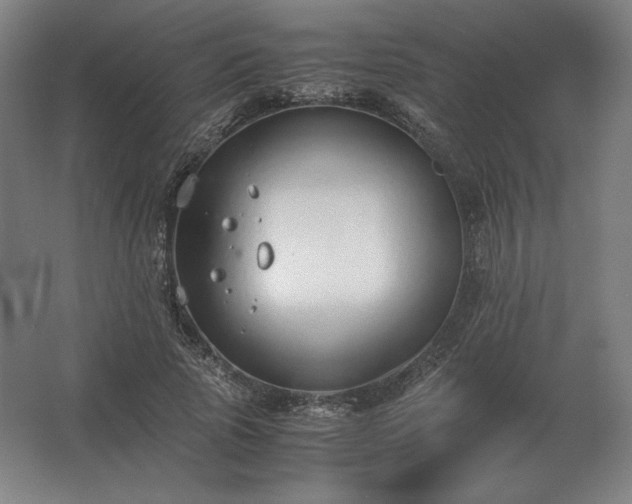 X0000062670737200512281738