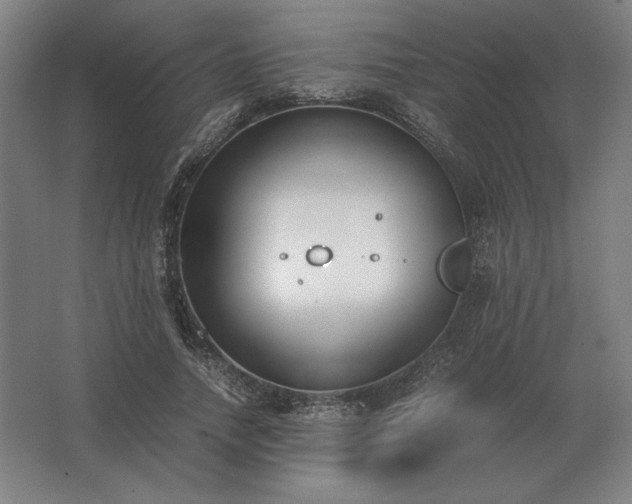 X0000062670738200512281738