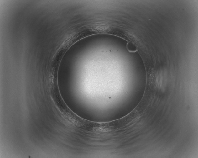 X0000062670739200512281738