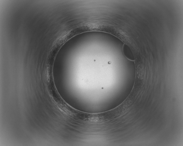 X0000062670740200512281738