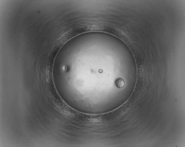 X0000062670741200512281738