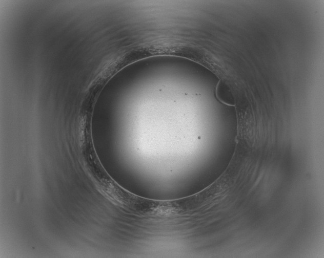 X0000062670742200512281738