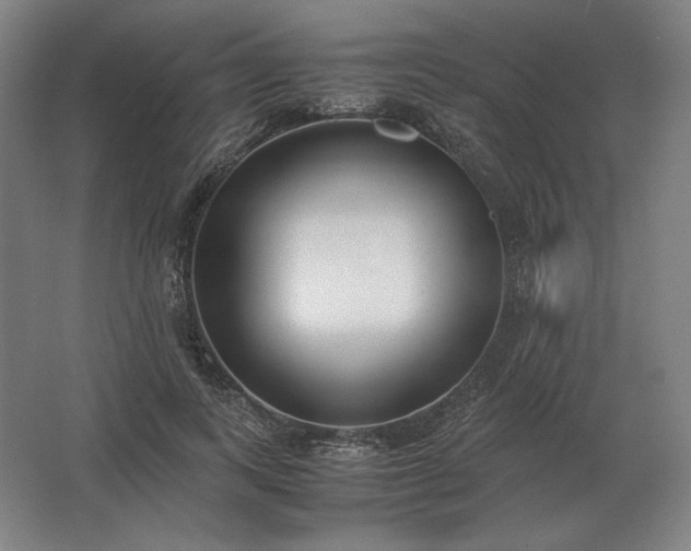 X0000062670743200512281738