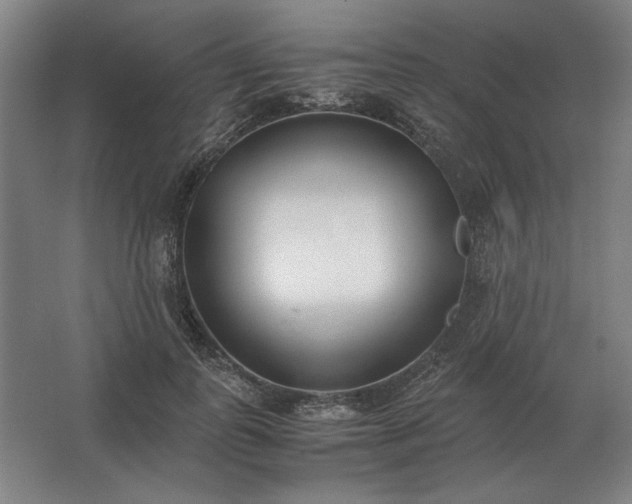 X0000062670747200512281738