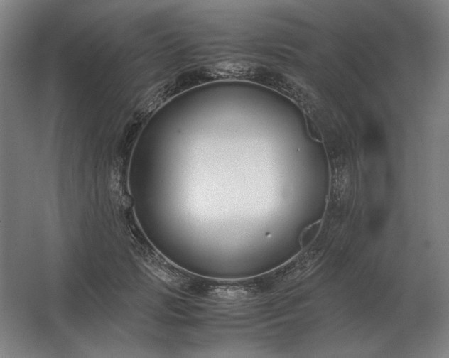 X0000062670749200512281738